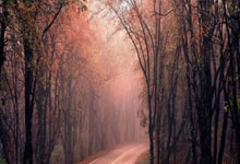 拜仁慕尼黑横扫曼联，晋级英超豪强->拜仁慕尼黑大胜曼联，晋级