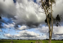 AC米兰遭遇惨败，排名下滑至第六位