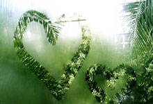 多特蒙德阿贾克斯对决，备战备战